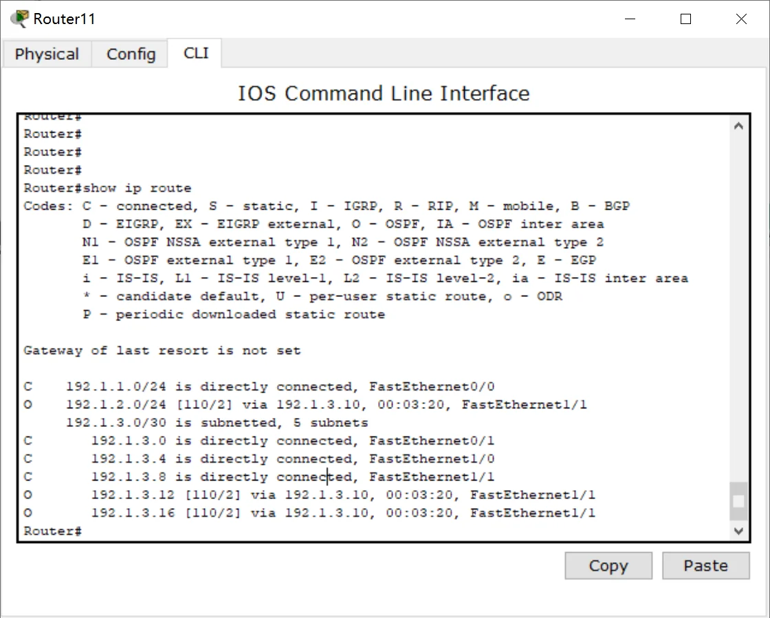 OSPF 路由表查看结果