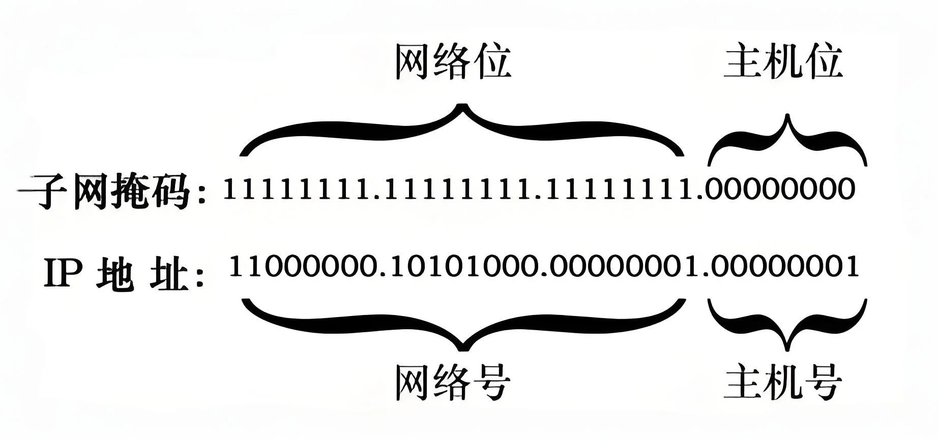 IP 地址网络位与主机位示意